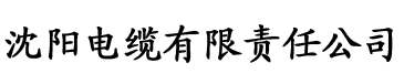 草莓日视频APPwww下载污电缆厂logo